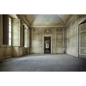 Papier Peint Photo INTISSÉ-SALLE 3D-(202530)--300x223 cm-6 lés-Mural Poster Géant XXL-Panorama-Abstrait Soie Nature Animaux Forêt