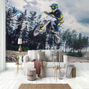 Papier Peint 3D Poster Gar&ccedil;on moto 350&times;256cm Pour Salon Chambre &Agrave; Coucher Couloir Moderne Espace Visuel De Paysage Naturel Murale