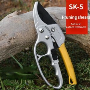 Sécateur à CrémaillèreCiseaux de taille pour arbres fruitierscoupe horticole professionnelleoutils à main de [F531049554]