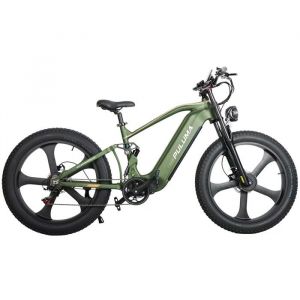 V&eacute;lo &eacute;lectrique PULUMA PE900 Double Moteur 500W Batterie 52V20AH Autonomie PAS 100KM 55KM/h Tout Suspendu Pneu 26 VTT Bike Vert