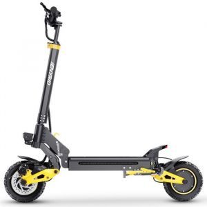 Trottinette &eacute;Lectrique iENYRID ES1Pour Adultes Moteur 250 W Pneus Tout-Terrain 10 Pouces Batterie 48 V 208 Ah Pliable