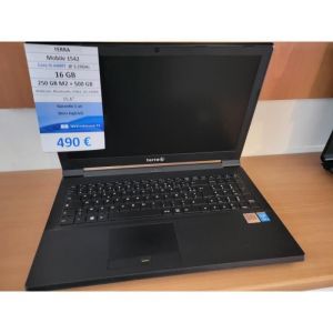 TERRA MOBILE 1542 I5/250 SSD+500HDD/16GB/W11