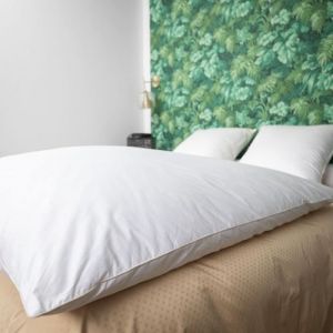 Édredon gonflant - CASTEX COUETTES NATURELLES - Blanc - 160x170 cm - 90% duvet neuf de canard - Coton bio