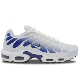 Baskets Nike Air Max Plus TN Wild Grape - DM0032-105_42