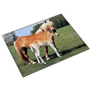 sous-main cheval et poulain 400 x 530 mm