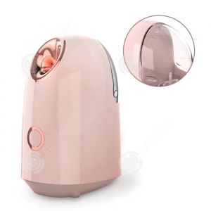 INN Vapeur pour le visage 20 minutes durée vapeur ionique avancée pour la peau vapeur visage anti-rides soins inhalateur electrique