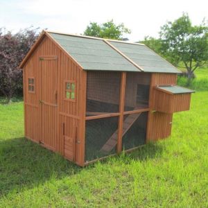 Poulailler Marans Toit Shingle