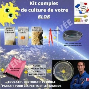 Blob Kit Complet Scl&eacute;rote Physarum Polycephalum Jaune Fabriqu&eacute; en France &agrave; Cahors