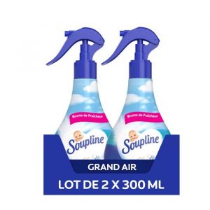Soupline - Spray Adoucissant - Grand Air - Casepack - Lot de 10x300ml