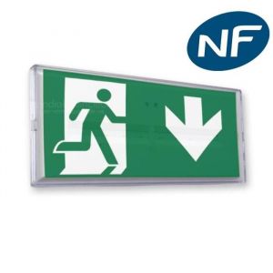 Signalisation de s&eacute;curit&eacute; - ZEMPER - BAES / BAEH SATI Habitation - IP42 - IK04 - Tout LED