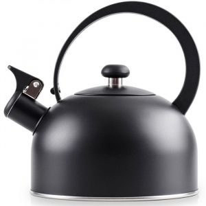 VILDE Bouilloire Classique Acier Inox 2 L - Sifflet inclinable compatible tous feux dont induction design élégant