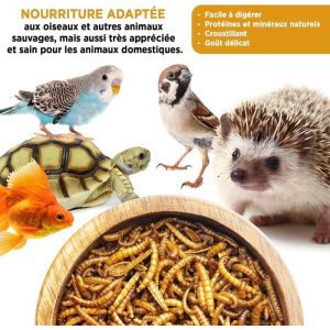 Vers de Farine S&eacute;ch&eacute;s 1 Kilo : Insectes Comestibles vers de farine pour Oiseaux Sauvages Poules hamster h&eacute;rissons Rongeurs