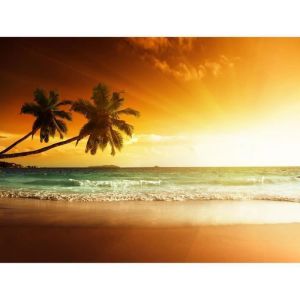 Papier Peint Photo INTISS&Eacute;-PALMIER COUCHER DU SOLEIL-(215172)-400x260cm-8 l&eacute;s-Mural Poster G&eacute;ant XXL-Panorama-Ciel Arbre Ocean Plage