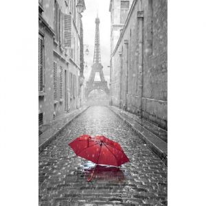 Tableau paris perspective tour eiffel et son parapluie - 50x80 cm