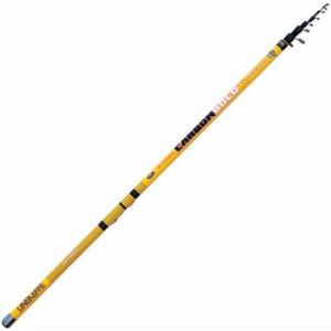 Lineaeffe Carbon Bolo 6.00 m - up to 25 g Canne Bolognaise Pêche au Coup Télescopique Mer Rivière