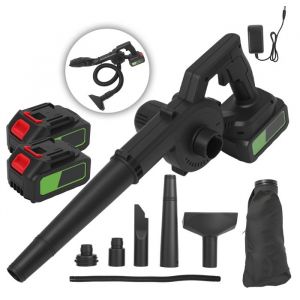 Souffleur et aspiration électrique 2 en 1 balayeuse de poussière brossée maison jardin poils danimaux+ 2 batterie 21V