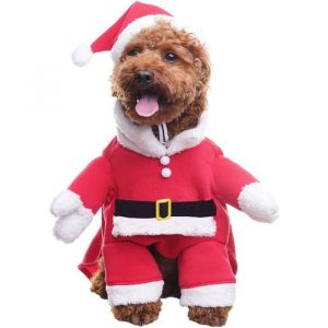 Déguisement de Noël pour chien avec bonnet de Père Noël ensemble de déguisement pour animaux de compagnie Joyeux Noël M