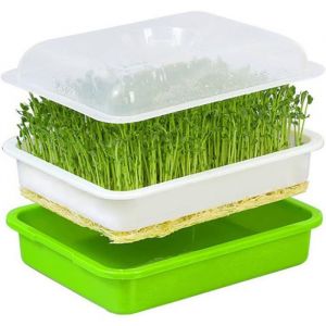 Germoir pour Graines &agrave; Germer Germoir avec Couvercle Bac de Culture Plastique pour Semis pour Jardin Maison Bureau