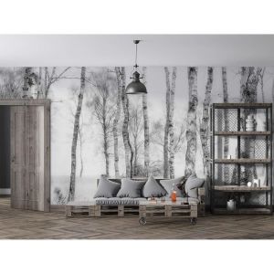 Papier Peint Soie 3D Bouleau Poster Geant Mural Th&egrave;me For&ecirc;t et arbres pour Salon Chambre Chambre restaurant D&eacute;coration Murale