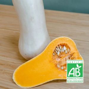 Graines de Courge Butternut Waltham Butternut - Sans traitement - Vilmorin