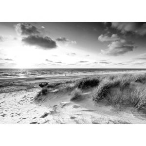 Papier Peint Photo -DUNES-300x210cm-Plage Mer Paysage Noir et Blanc Mural Décor Motif Poster Optique Moderne Fond Effet