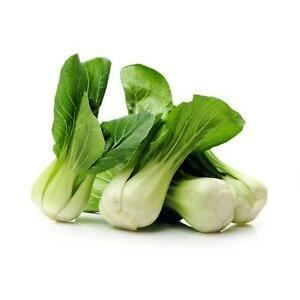 300 Graines de Chou Chinois Pak Choï - légumes ancien potager - méthode BIO