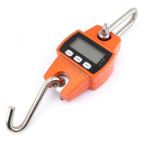 Peson Pèse Electronique Max 300KG - TMISHION - Mini Balance Accrochante Portative de Digital LCD dAffichage