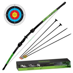 Set darc et fl&egrave;ches Bogenk&ouml;nig Enfants &agrave; partir de 7 Ans Force de Traction de 68 kg + Cible &agrave; Ventouse et Une fl&egrave;che avec Pointe