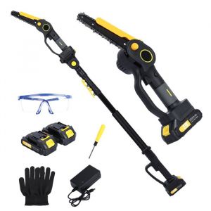 2 en 1 Élagueuse électrique sur perche - Tronçonneuse électrique -  21V - 2 batteries de 20 Ah - hautes réglable - 218cm