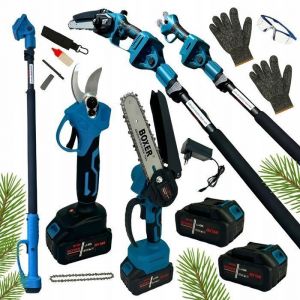 Mini Tronconneuse A Batterie 6&Prime;8&Prime;elagueuse Sur Perche Telescopique Electrique Avec S&eacute;cateur &Eacute;lectrique 48vt&ecirc;te R&eacute;glable 2