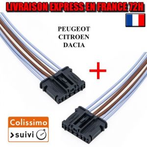 LOT2 Connectique feux arrières Connecteur pour Peugeot 207 307 Citroen C3 1606248780