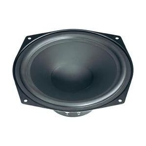 Boomer Visaton WS 20 E