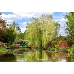 Papier Peint Photo INTISSÉ-(211088)-ARBRE AU LAC-400x260cm-8 lés-Mural Poster Géant XXL-Cascade Beach Mer Océan Nature Jungle Forêt