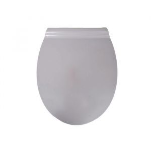 Abattant WC Thermodur fin frein de chute d&eacute;clipsable 1 bouton gris
