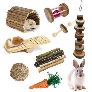 Hamster masticateur jouets Cochons dInde Gatto masticateur jouets 15 jouets de mastication PZCC