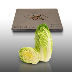100 graines à semer - Le Grenier d&#039 Abondance - CHOU Chinois Pé Tsaî Amélioré - Brassica rapa