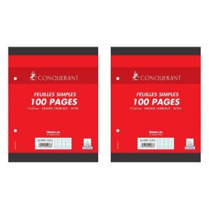 Lot de 2 Feuilles Simples 17x22cm 100 Pages 90G Grands Carreaux Sous Film Blanches