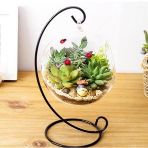 Vase Suspendu - OMABETA - Grand Terrarium - Verre Borosilicat&eacute; - Cadre en Fer - Design Contemporain