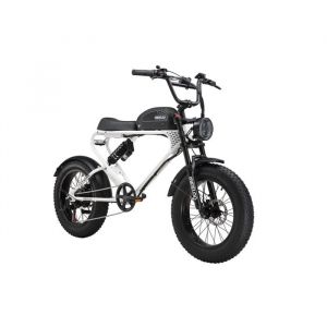 V&eacute;lo &eacute;lectrique MEELOD Moteur 48v750W (Pic 1200W) Batterie 48V20Ah Autonomie(PAS) 80-160KM Pneu 20*4.0 Neige Tout Suspendu Blanc