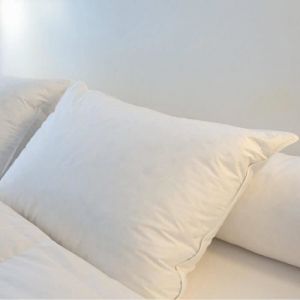 Oreiller Duvet-Plumettes Castex - 50x70cm