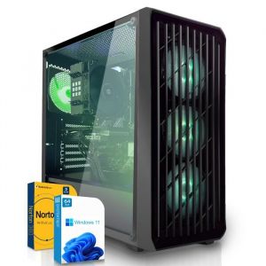 PC Gamer - AMD Ryzen 5 PRO 4650G - AMD Radeon RX Vega7 - 16Go RAM - 512Go SSD- Windows 11 - WiFi-97