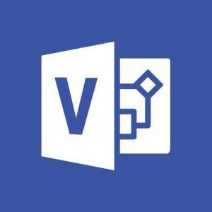 Logiciel - Microsoft - Visio Professional 2019 - Multilingue - 1 licence - Windows 7 ou ultérieur