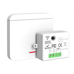 Interrupteur sans fil RF 433 MHz -  - R&eacute;cepteur 2200W 10A interrupteur mural connect&eacute; pour maison intelligente pack de 2