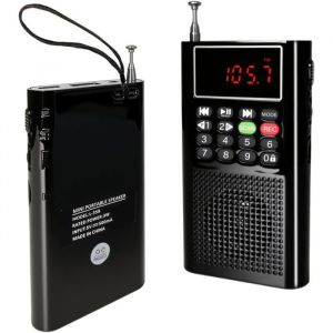 Poste Radio Portable Mini Radio FM avec Balayage Automatique Batterie Rechargeable Intégrée Lecture MP3 Via USB/Carte MicroSD