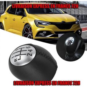 pour RENAULT LAGUNA 2 CLIO 3 MEGANE SCENIC 6 VITESSES POMMEAU LEVIER DE VITESSE
