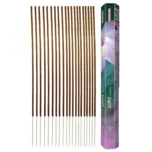 Encens sans charbon &agrave; la fleur de Lotus 20 b&acirc;tons  Terra