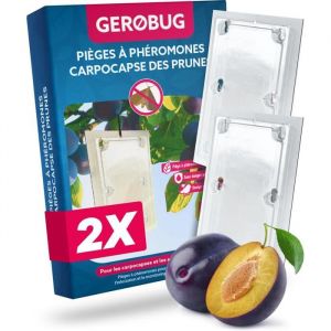 MARGAUX LONNBERG-Pi&egrave;ge &agrave; carpocapse des Prunes Pi&egrave;ge &agrave; ph&eacute;romone Bio 2 pi&egrave;ces - Design de Produit respectueux des Oiseaux y [J127]
