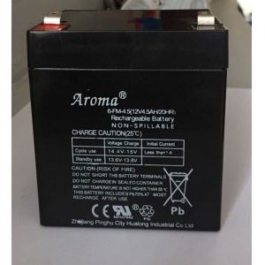 Batterie pour voiture électrique 12V / 45 Ah