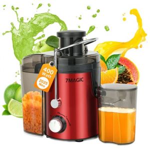 Extracteur de Jus 400W - Centrifugeuse Fruits et Légumes 3 Vitesses - Avec fonction pulse - Récipient à Jus 550ml et Pulpe 1L