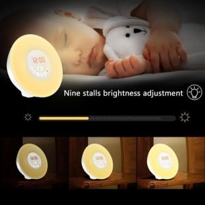 LOLOLOO Radio R&eacute;veil Simulateur dAube - Lampe de Chevet 7 Couleurs LED - Bruits de la Nature - FM